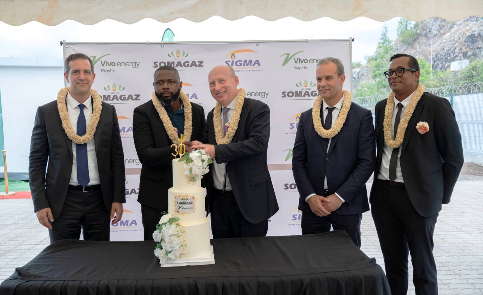 Five representatives cut the celebratory cake