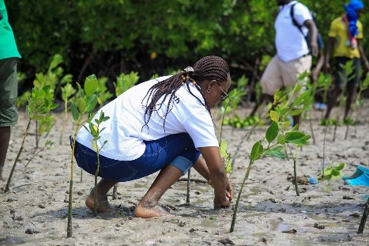 planting